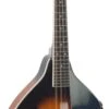 Alabama - A-Style Spruce Plywood Top Mandolin, Tobacco Sunburst - Alabama