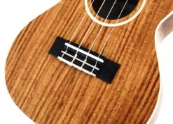 Twisted Wood AR-800T Aurora Tenor Ukulele - B-Stock - Twisted Wood -Zedem Sale Store AR 800 100 6b53c808 45bf 47bc a3d2 5e03a0d4f0bc