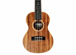 Twisted Wood AR-800C Aurora Concert Ukulele - B-Stock - Twisted Wood