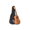 Twisted Wood AR-800C Aurora Concert Ukulele Lam. Koa W/Gig Bag - Twisted Wood -Zedem Sale Store AR 800C 1 B