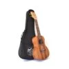 Twisted Wood AR-800S Aurora Soprano Ukulele Lam. Koa W/Gig Bag - Twisted Wood 2 Twisted Wood AR-800S Aurora Soprano Ukulele Lam. Koa W/Gig Bag - Twisted Wood -Zedem Sale Store AR 800S 1 B