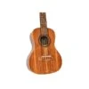 Twisted Wood AR-800T Aurora Tenor Ukulele Lam. Koa W/Gig Bag - Twisted Wood 5 Twisted Wood AR-800T Aurora Tenor Ukulele Lam. Koa W/Gig Bag - Twisted Wood -Zedem Sale Store AR 800T B
