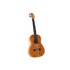 Twisted Wood BA-003B Bailer Bariton Ukulele Zebra Wood W/Gig Bag - Twisted Wood