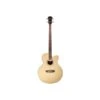 Denver DB44S Acoustic/Electric Cutaway Bass Natural - Denver