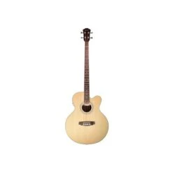 Denver DB44S Acoustic/Electric Cutaway Bass Natural - Denver