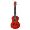 Twisted Wood Reford Concert Ukulele W/Gigbag - Twisted Wood -Zedem Sale Store DSC00417 43cc061d f557 4ac9 b340 e60c6a74421e