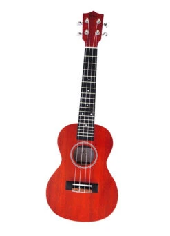 Twisted Wood Redford Tenor Ukulele W/gigbag - Twisted Wood