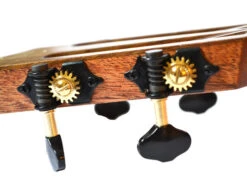 Twisted Wood KO-1000T Koa Tenor Ukulele - B-Stock - Twisted Wood -Zedem Sale Store DSC 0467 copy large 1 b71f6c5c 6125 48fe 849a 36e043decf4f