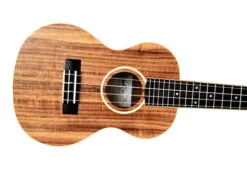 Twisted Wood AR-800T Aurora Tenor Ukulele - B-Stock - Twisted Wood -Zedem Sale Store DSC 0535 3 797dfe3c b825 4497 844e 98835f64c821