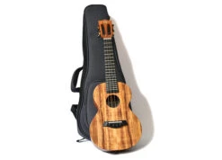 Twisted Wood KO-1000T Koa Tenor Ukulele - B-Stock - Twisted Wood -Zedem Sale Store DSC 0840 2 copy ba8d0338 c5ba 427d 81d4 710eb0ea8961