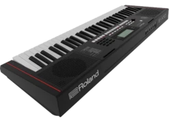 Roland E-X10 61-Key Touch Sensitive Arranger Keyboard - Roland -Zedem Sale Store E X10 BACK ANGLE2 PressDealersPNG