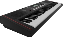 Roland E-X10 61-Key Touch Sensitive Arranger Keyboard - Roland -Zedem Sale Store E X10 DR2 PressDealersPNG