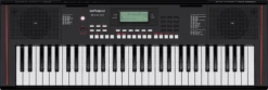 Roland E-X10 61-Key Touch Sensitive Arranger Keyboard - Roland