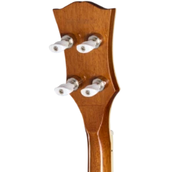 Epiphone Mtone Bowtie Open Back Banjo W/Gigbag - Epiphone -Zedem Sale Store EIGBBTNANH1 hs back 002