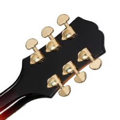 Epiphone Sheraton Frequnesator Vintage Burst - Epiphone -Zedem Sale Store EOSHVSGH1 hs back