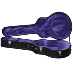 Epiphone J-180 LS - Pink - Epiphone -Zedem Sale Store J 180LS case open 1ad08bd5 b319 4c85 b9f9 292b6558bbd1