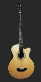 Jay Turser Acoustic Bass W/Eq - Jay Turser