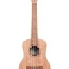 Kala KA-20T Meranti Tenor Ukulele - Kala -Zedem Sale Store KA 20T hqw 2