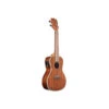 Kala KA-C Concert Ukulele W/EQ - Gloss Mahogany - Kala -Zedem Sale Store KA CGE 1 B