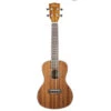 Kala KA-C Concert Ukulele - Gloss Mahogany - Kala -Zedem Sale Store KA CG 1 B