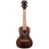 Kala KA-EBY-C Concert Ukulele - Stripped Ebony - Kala -Zedem Sale Store KA EBY C 1 B