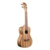 Kala KA-PWC Concert Ukulele - Pacific Walnut - Kala -Zedem Sale Store KA PWC 1 B
