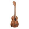 Kala KA-SLNG Soprano Ukulele - Long Neck - Kala -Zedem Sale Store KA SLNG 1 B