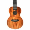 Twisted Wood KO-1000C Koa Concert Ukulele - B-Stock - Twisted Wood -Zedem Sale Store KO 1000C 2 1