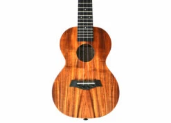 Twisted Wood KO-1000C Solid Koa Concert Ukulele W/Gig Bag - Twisted Wood -Zedem Sale Store KO 1000C 2