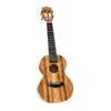 Twisted Wood KO-1000C Solid Koa Concert Ukulele W/Gig Bag - Twisted Wood -Zedem Sale Store KO 1000C 1 B