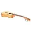 Twisted Wood MA-006C Malu Concert Ukulele Spruce Zebra Back And Side W/Gig Bag - Twisted Wood