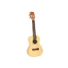 Twisted Wood MA-006S Malu Soprano Ukulele Spruce Zebra Back And Side W/Gig Bag - Twisted Wood -Zedem Sale Store MA 006S 1 B