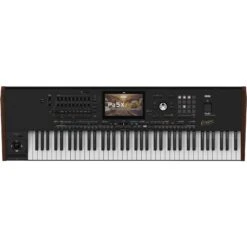 Korg - 76-Key Oriental Professional Arranger Workstation - Korg