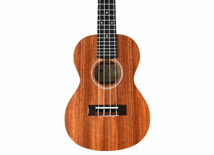 Twisted Wood PI-100S Pioneer Soprano Ukulele - B-Stock - Twisted Wood 1 Twisted Wood PI-100S Pioneer Soprano Ukulele - B-Stock - Twisted Wood