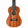 Twisted Wood Pioneer Concert Ukulele Lam. Sapele W/Gigbag - Twisted Wood -Zedem Sale Store PI 100C 1 acbfa84b fd33 46c7 82e6 47fdf4bb6967