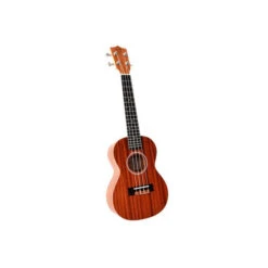 Twisted Wood PI-100T Pioneer Tenor Ukulele Lam. Sapele W/Gig Bag - Twisted Wood