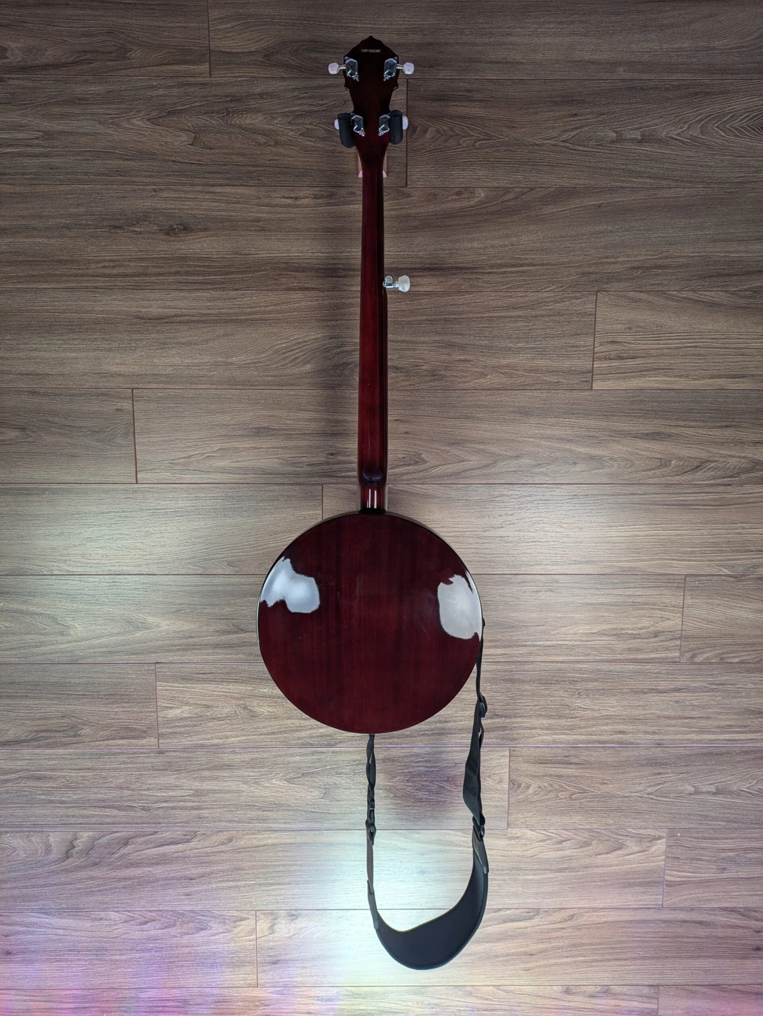 Fender Concert Tone Banjo With Case - Used - Fender 2 Fender Concert Tone Banjo With Case - Used - Fender - Image 2