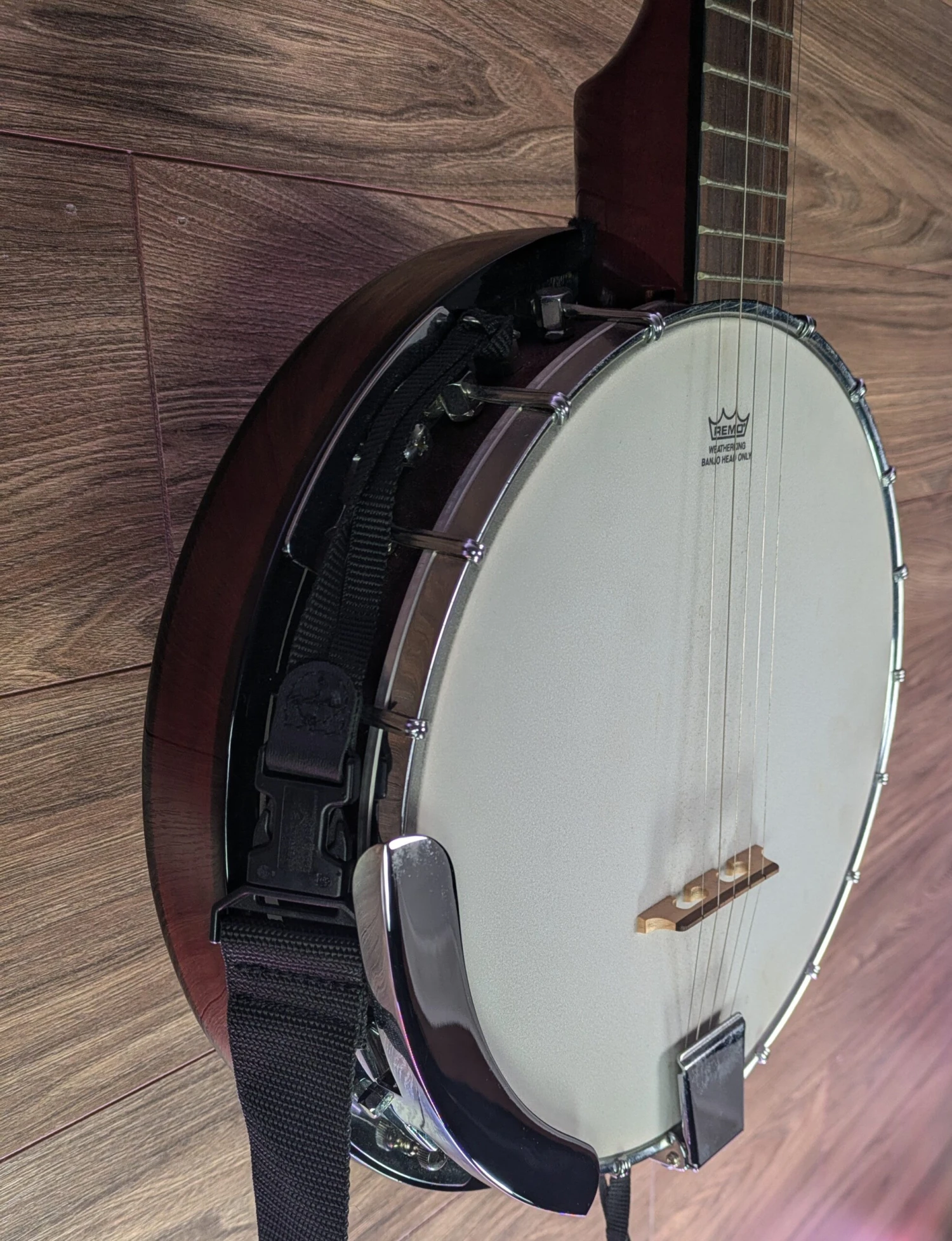 Fender Concert Tone Banjo With Case - Used - Fender 6 Fender Concert Tone Banjo With Case - Used - Fender - Image 6