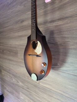 Seagull S8 EQ SF W/Gigbag, Sunburst - Seagull -Zedem Sale Store PXL 20241104 213525113.MP