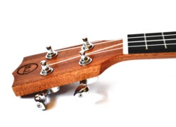 Twisted Wood PI-100S Pioneer Soprano Ukulele - B-Stock - Twisted Wood 10 Twisted Wood PI-100S Pioneer Soprano Ukulele - B-Stock - Twisted Wood -Zedem Sale Store Pioneer 2019 5 Web