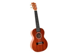 Twisted Wood PI-100T Pioneer Tenor Ukulele - B-Stock - Twisted Wood -Zedem Sale Store Pioneer 2019 6 Web 2 a191e892 14eb 4abe 9782 dc4a9dcab0da