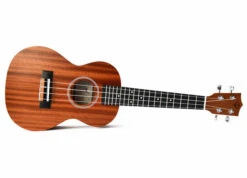 Twisted Wood Pioneer Concert Ukulele Lam. Sapele W/Gigbag - Twisted Wood -Zedem Sale Store Pioneer 2019 TW New 3 web copy