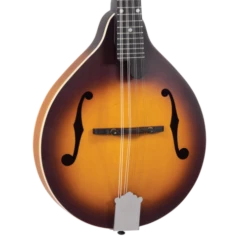 Recording King Dirty 30's A-Style Mandolin, Solid Top - Tobacco Sunburst - Recording King 9 Recording King Dirty 30's A-Style Mandolin, Solid Top - Tobacco Sunburst - Recording King -Zedem Sale Store RAM 3 TS 5