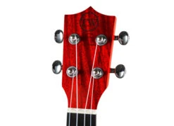 Twisted Wood Redford Tenor Ukulele W/gigbag - Twisted Wood -Zedem Sale Store RF 130C Web 6 2 f1fb92ec 4f7d 4842 ba31 5d9b7f5c39d3