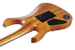 Ibanez RGT1220PBABS RG Premium - Antique Brown Stained - Ibanez -Zedem Sale Store RGT1220PBABS 3