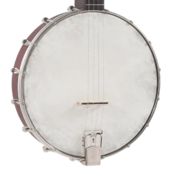 Recording King Dirty 30s Open Back Tenor Banjo - Recording King -Zedem Sale Store RKT 05 1