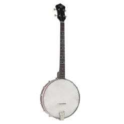Recording King Dirty 30s Open Back Tenor Banjo - Recording King