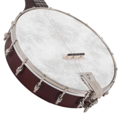 Recording King Dirty 30s Open Back Tenor Banjo - Recording King -Zedem Sale Store RKT 05 4