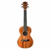 Twisted Wood RR-200S Rock Roots Solid Mahogany Soprano Uke W/Gig Bag - Twisted Wood -Zedem Sale Store ROCK ROOTS FRONT 2