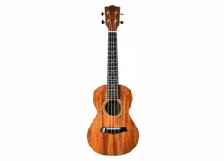Twisted Wood RR-200S Rock Roots Solid Mahogany Soprano Uke W/Gig Bag - Twisted Wood